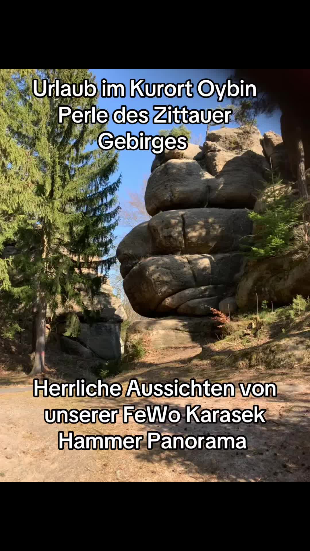 @mandau-fewo.de