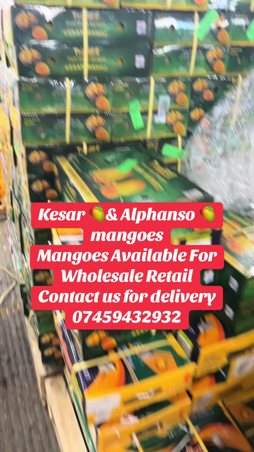 @Mango Man🥭