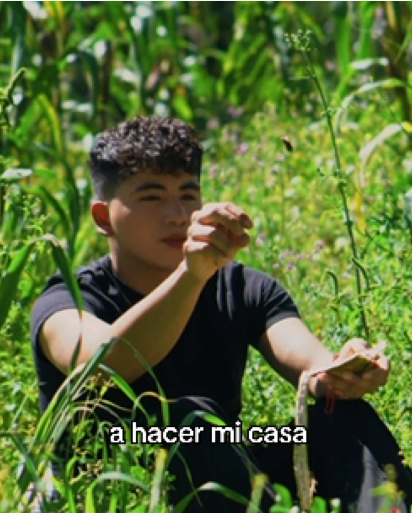 @Josepth Ovalle