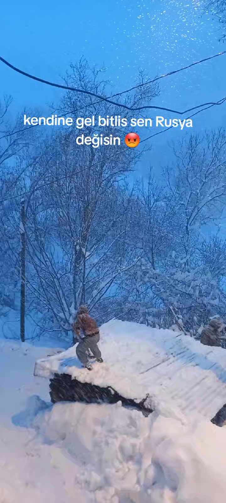 @emell1334