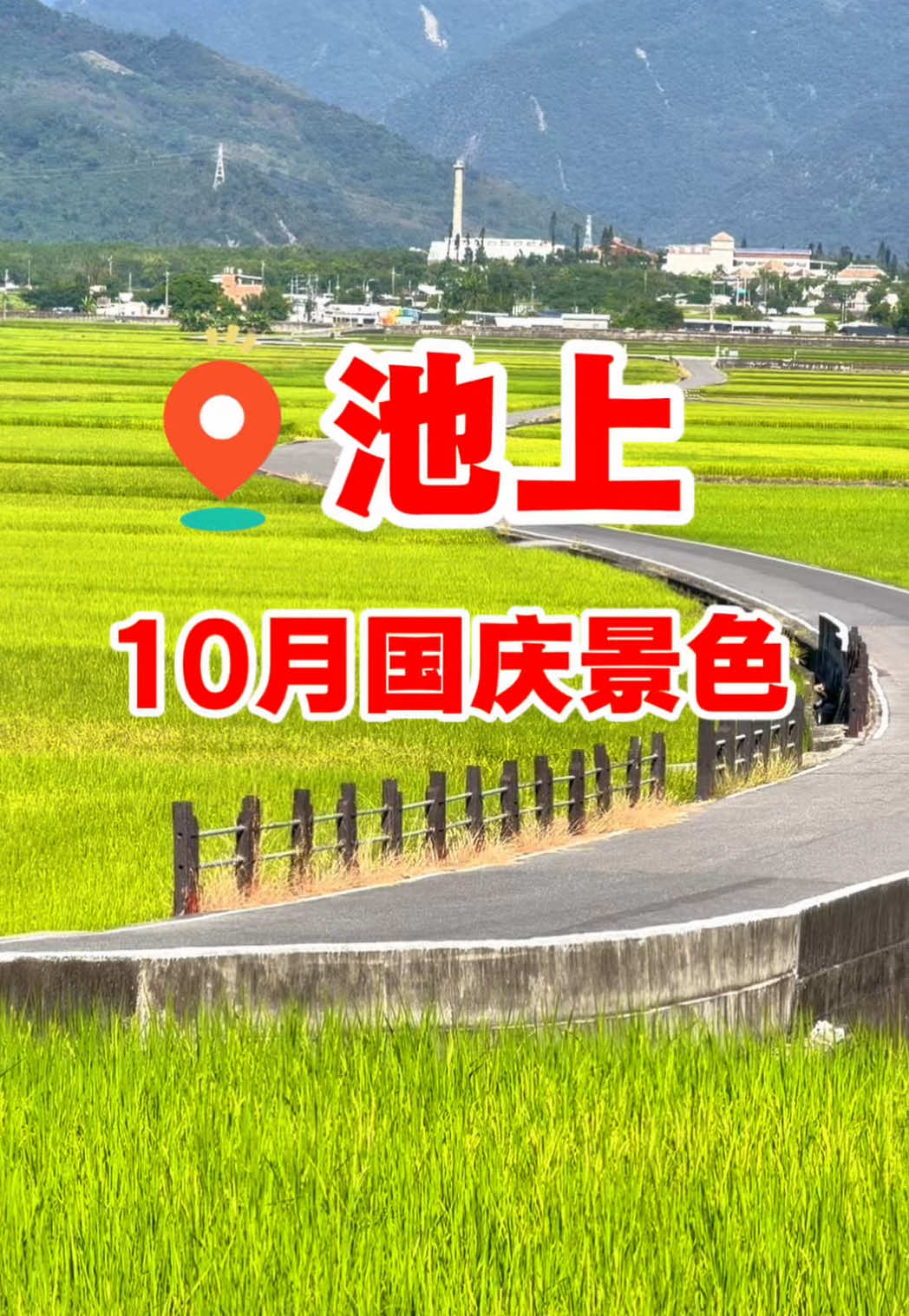 @美娴(華鼎自行車出租店)