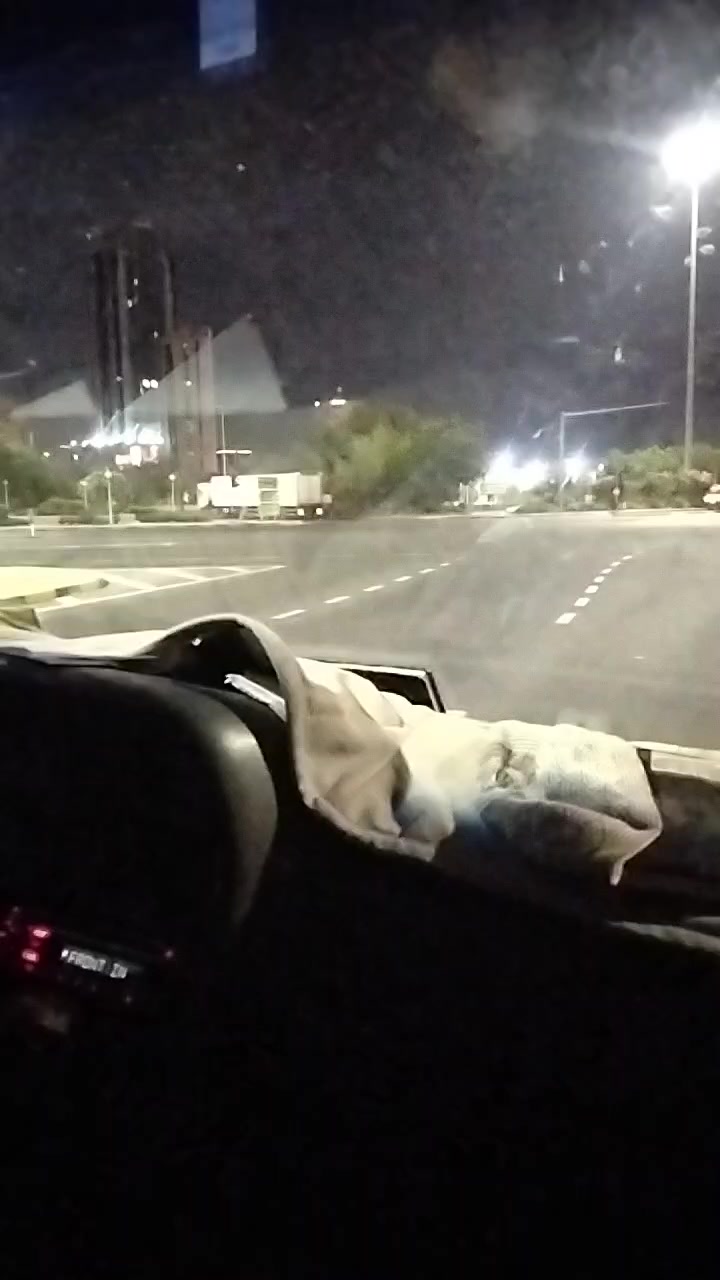 @مانى گجر 🍂