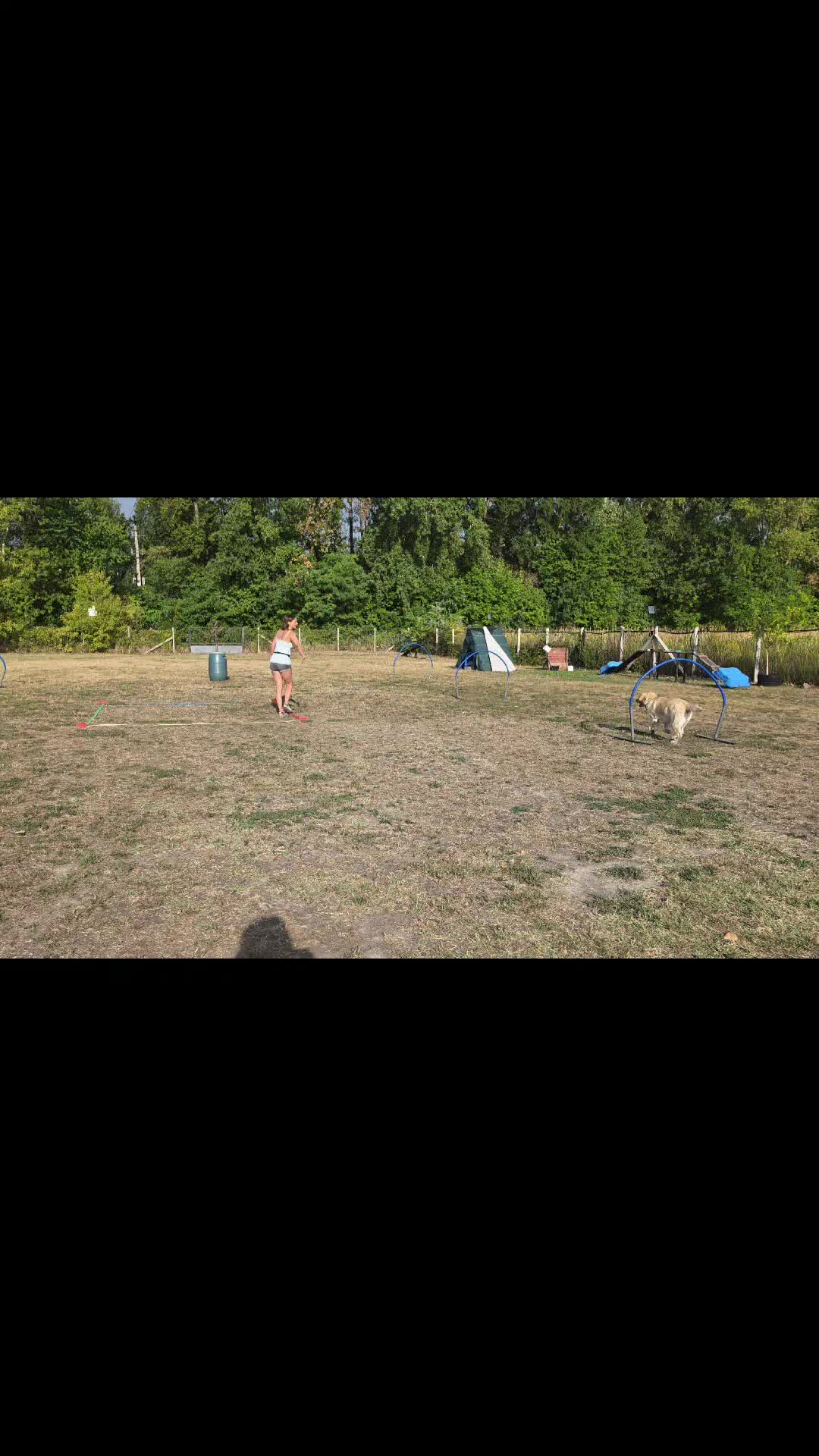 @Szigeti Kutyasuli 2015