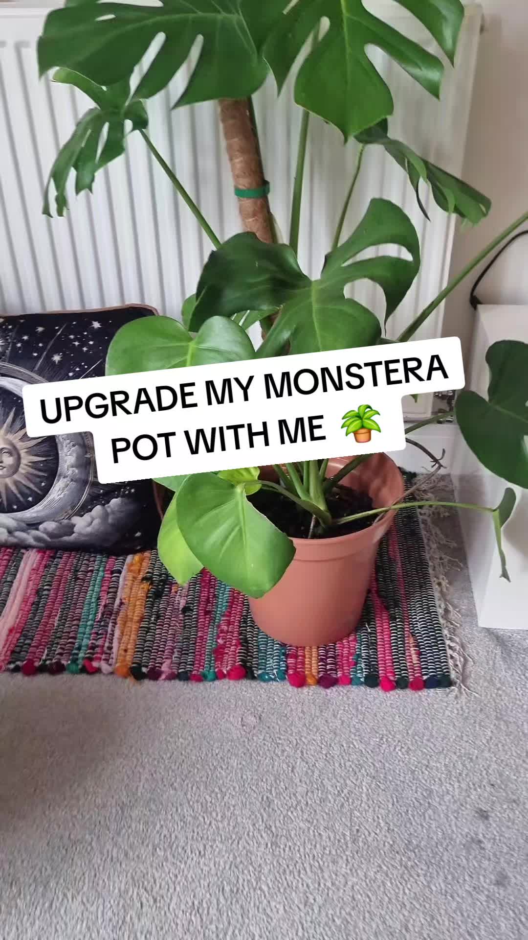 @🍄💎🌙emma🌙💎🍄