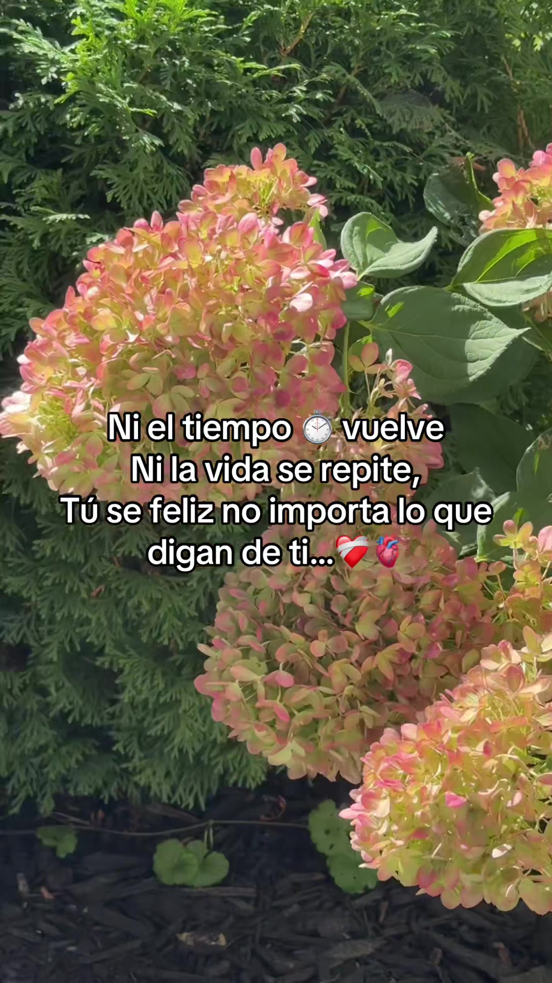 @lucycoyago🦋💋😉4:901$