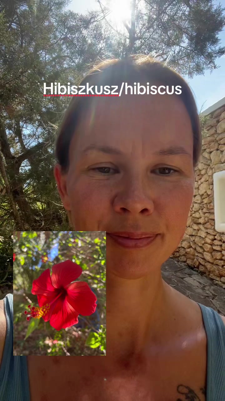@ibizadorika