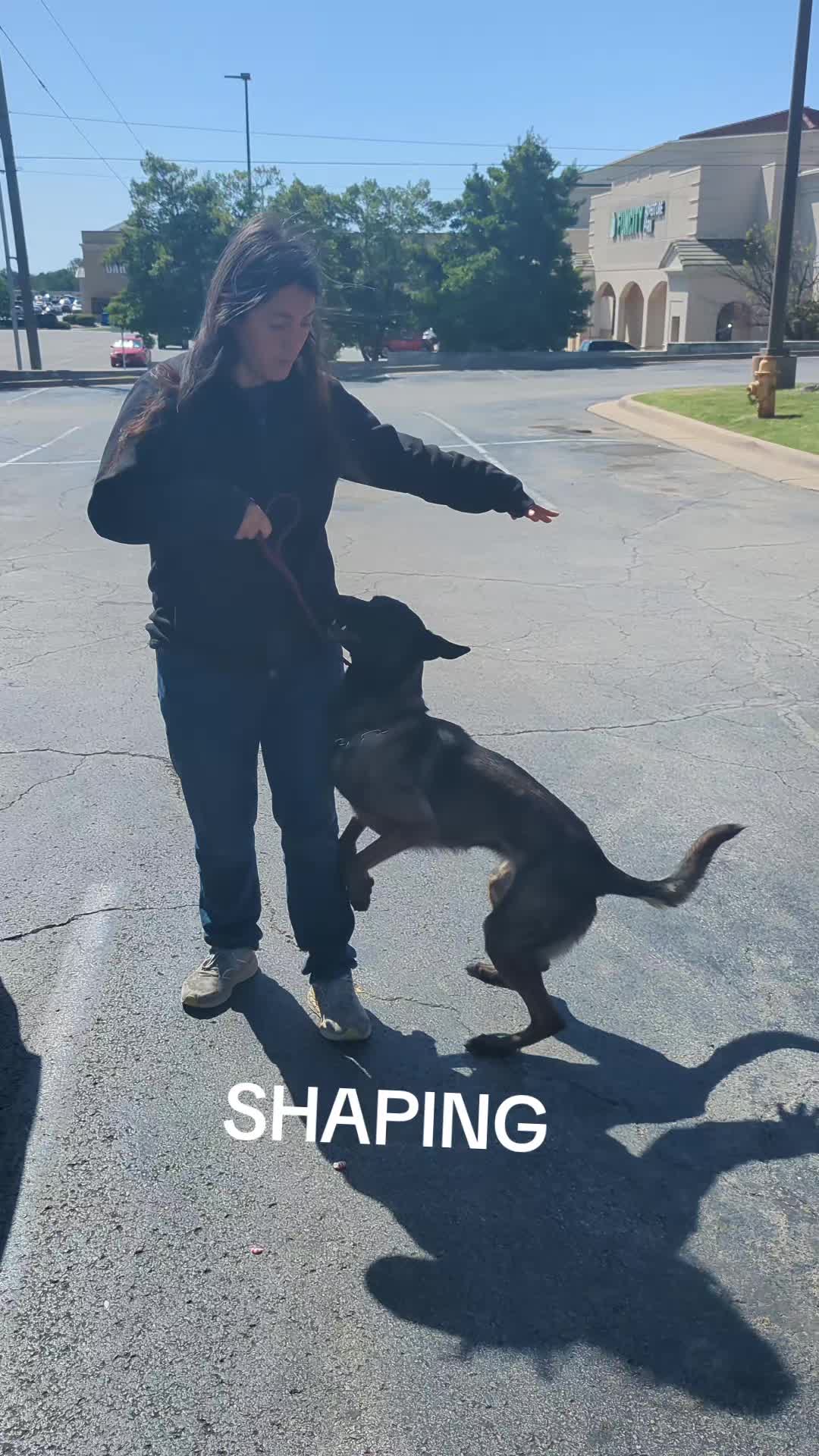 @Muttstrutt