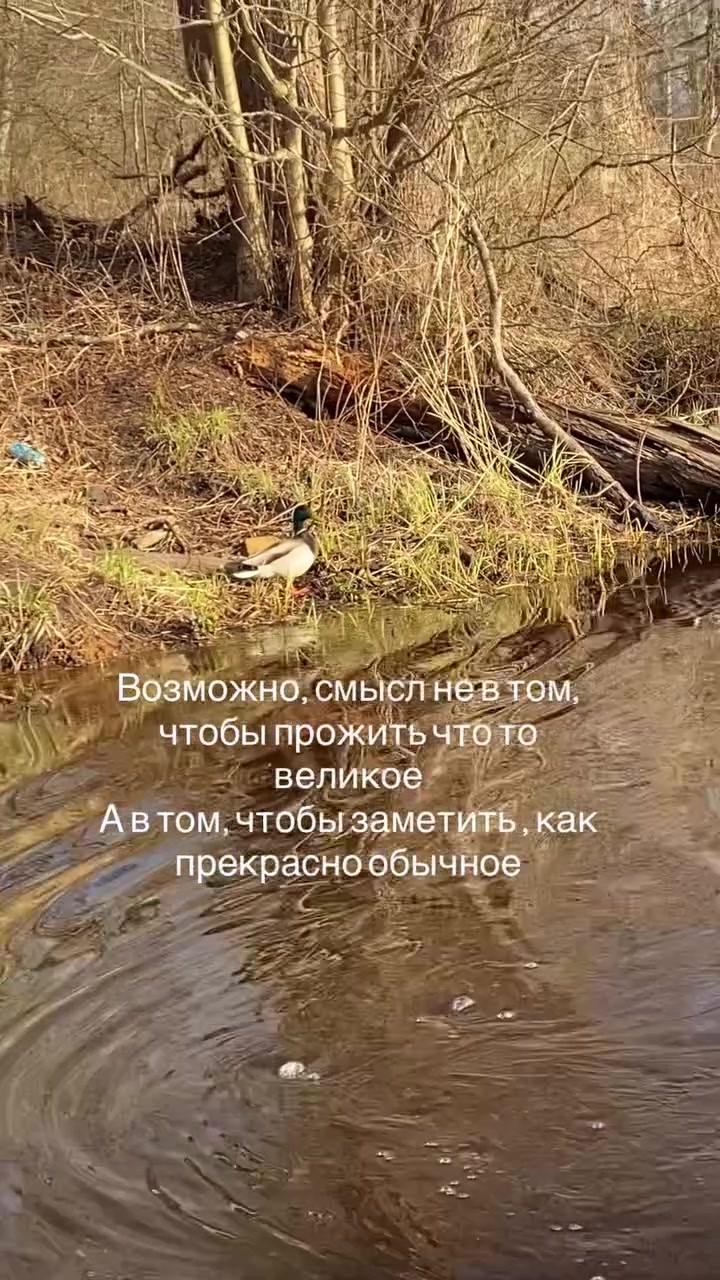 @Ирина