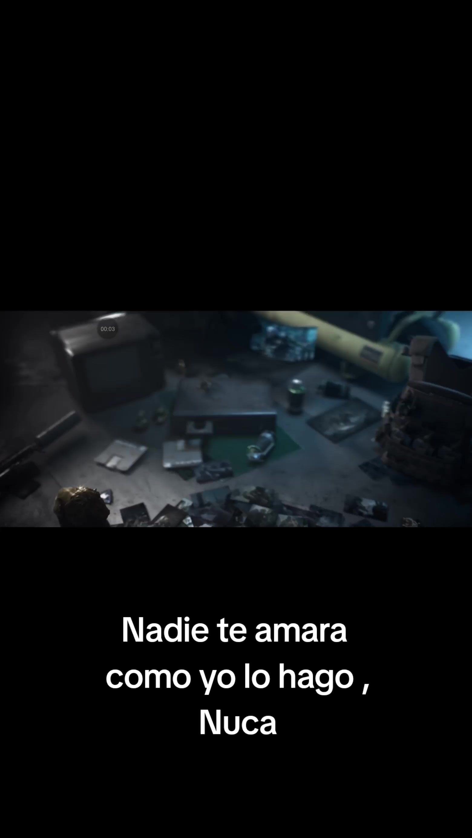 @gato de combate