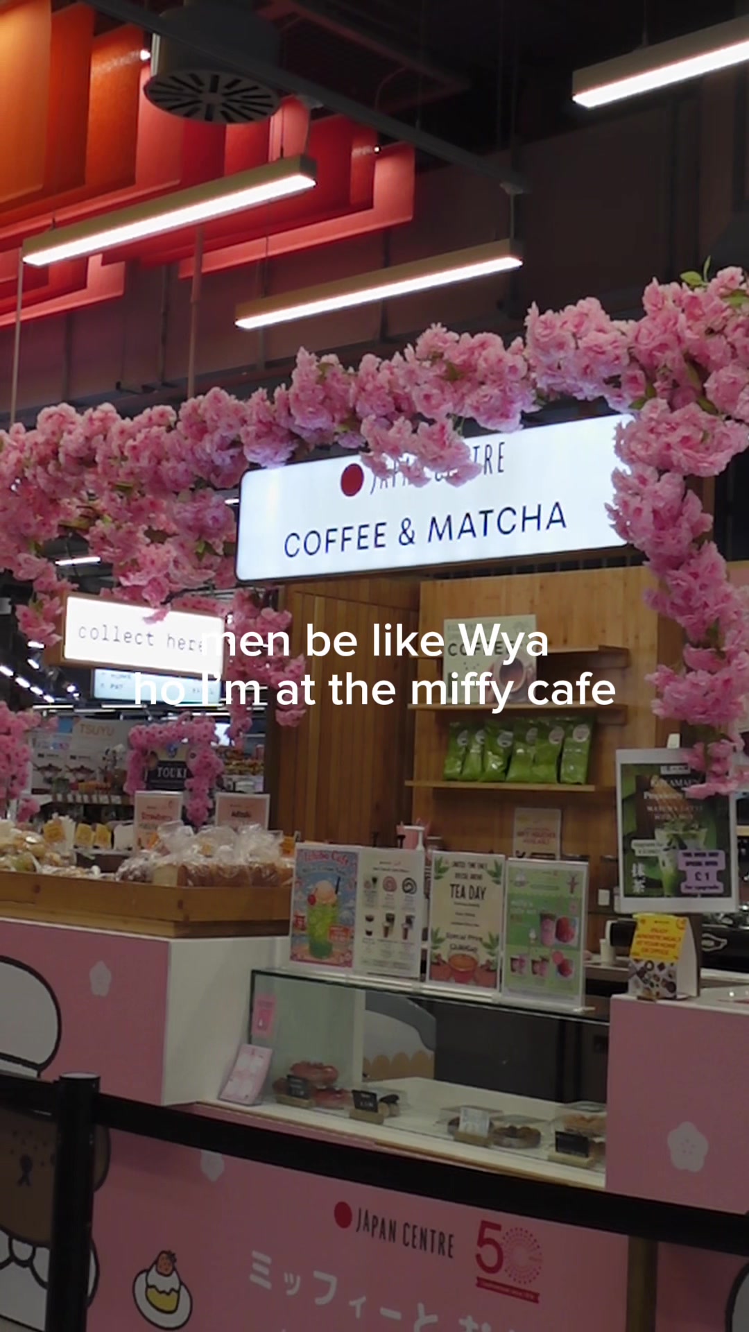 @lilie elle 🪽