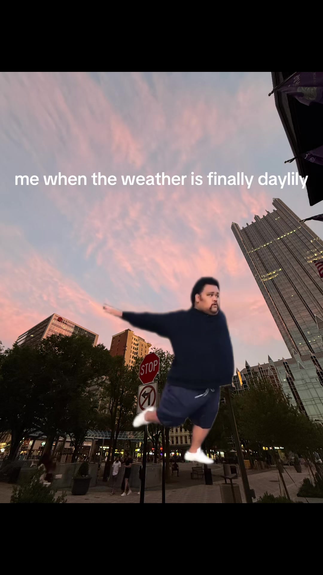 @auddd