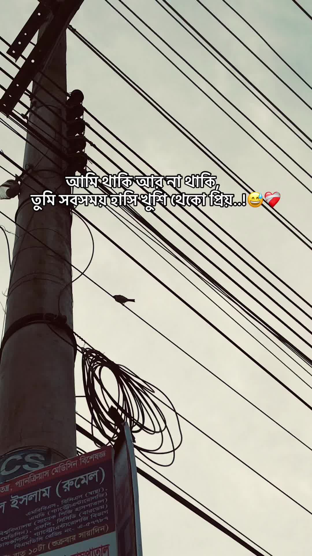 @the_spydoo🕸️ 🥏
