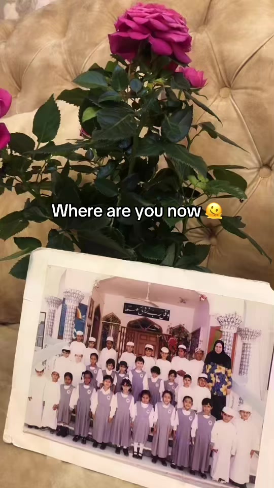 @احمد البلوشي
