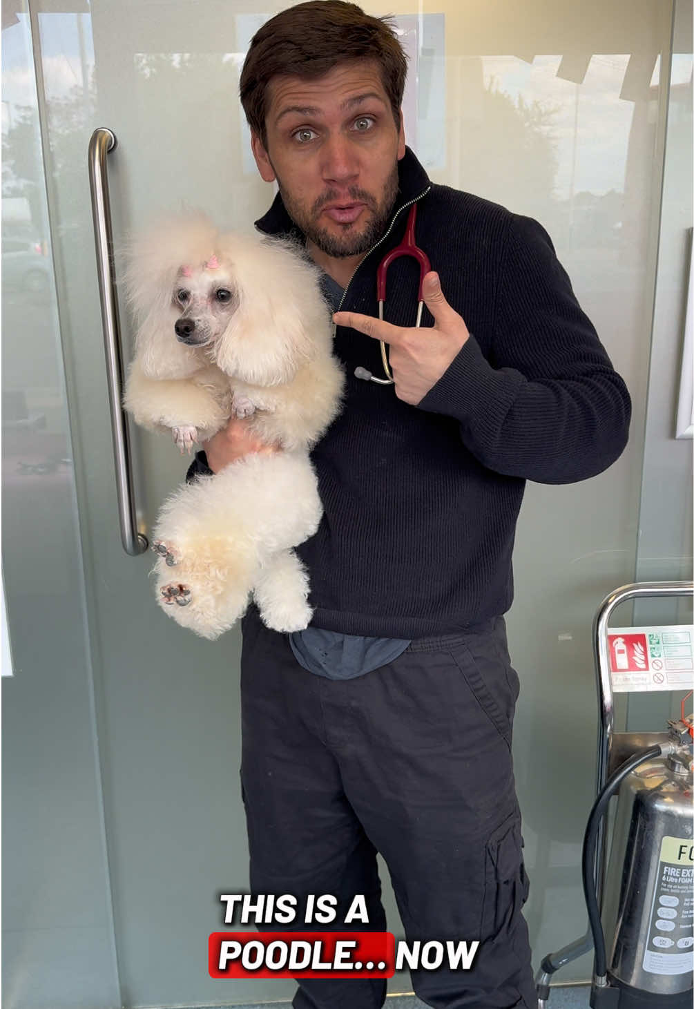 @Tomasthevet