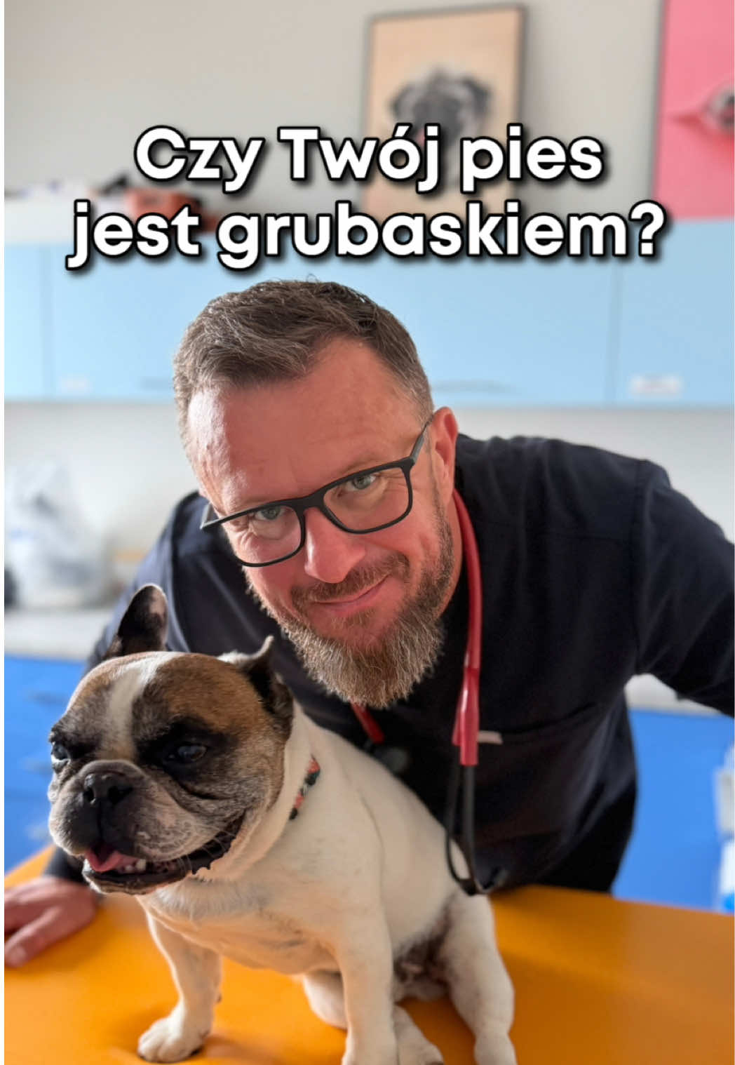 @cowdoctor_pl