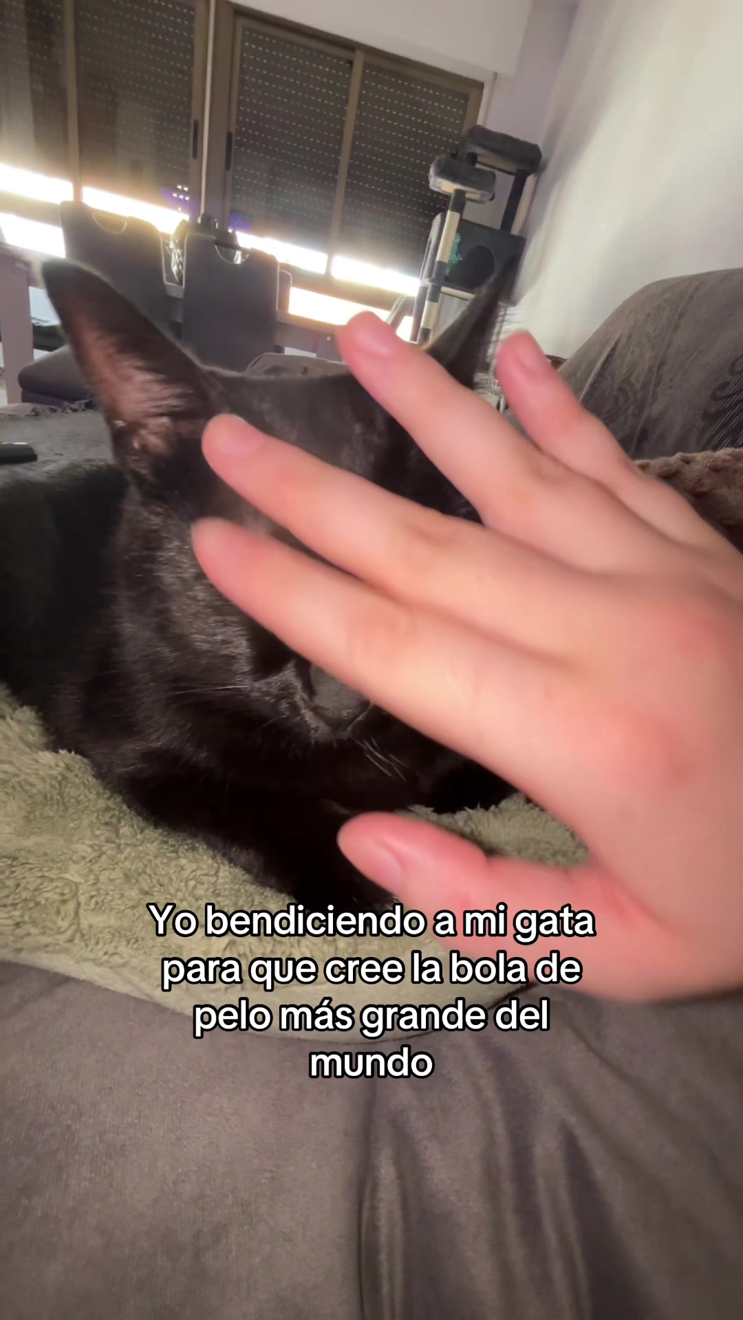 @BlackCatsMatter
