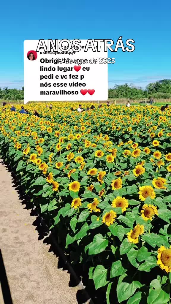 @🫂Lavina maria🇧🇷FMLsindy
