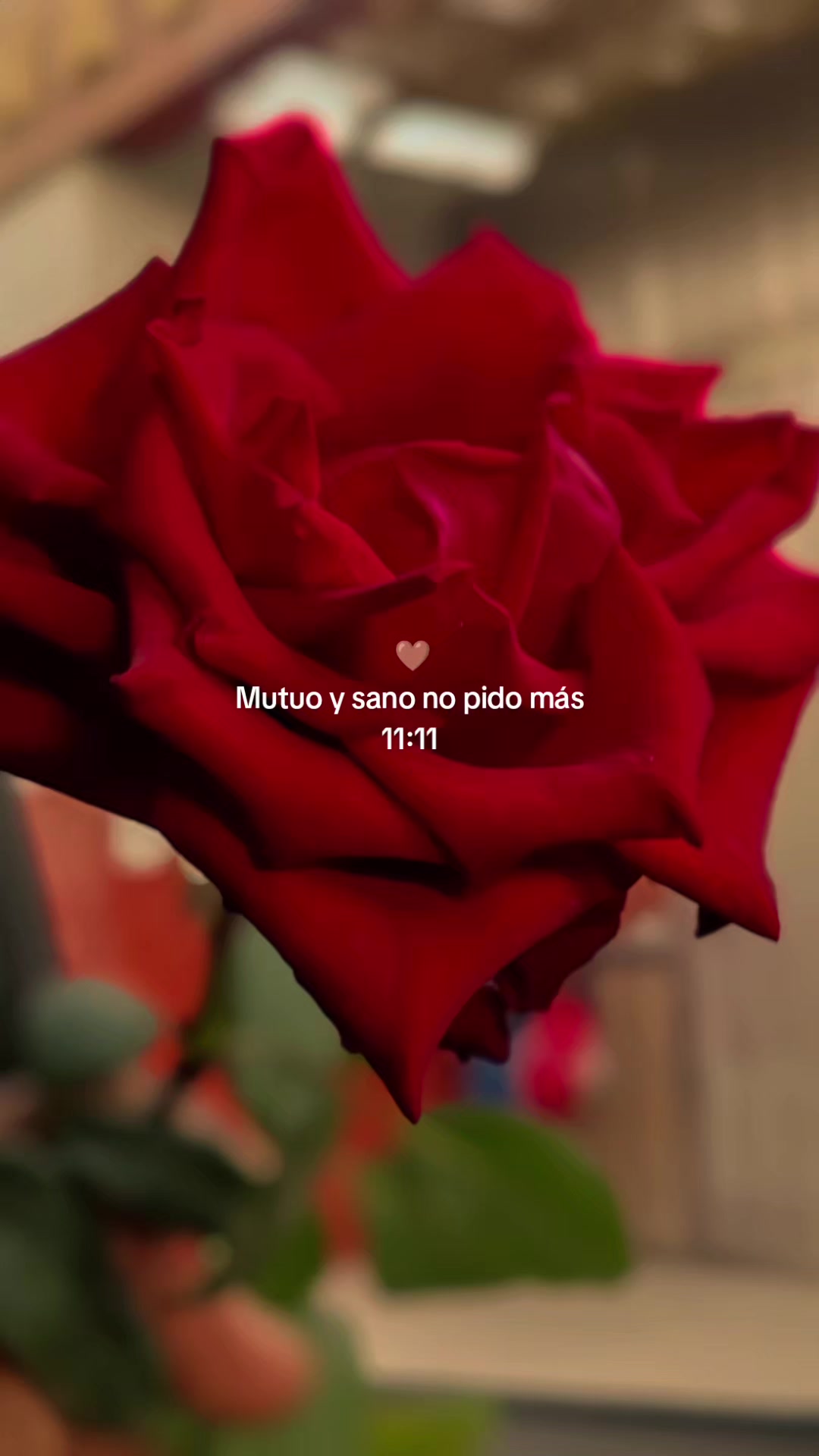 @Deysi Escudero
