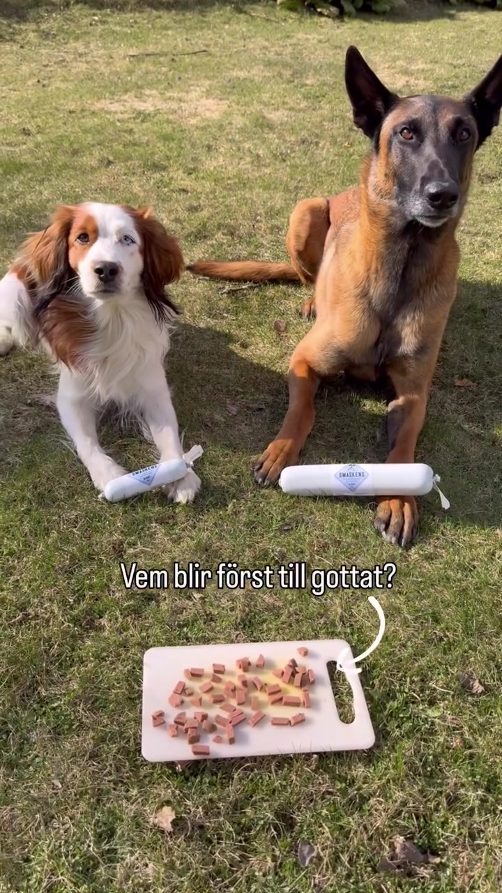 @Hansesgarden_ab