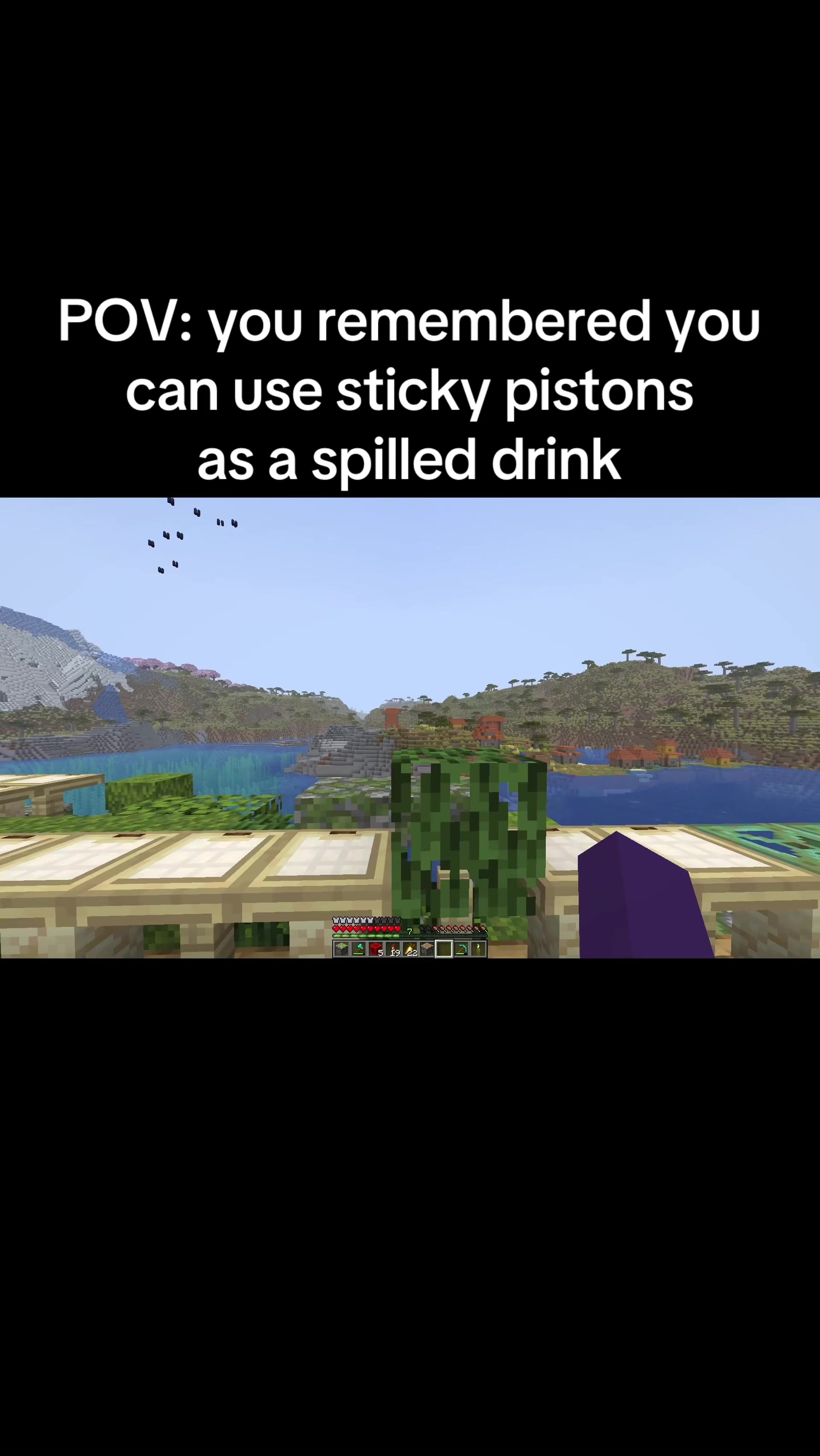 @flzzzzf