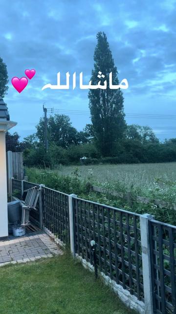 @lifeofuzali