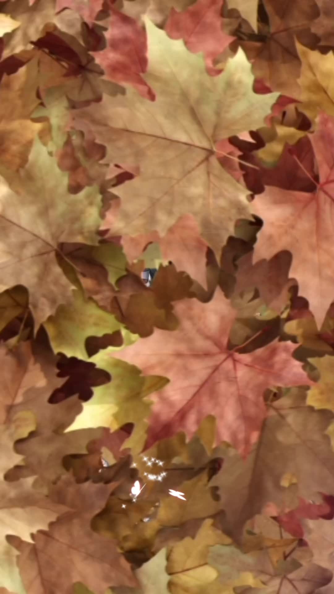 @niraj_rai09