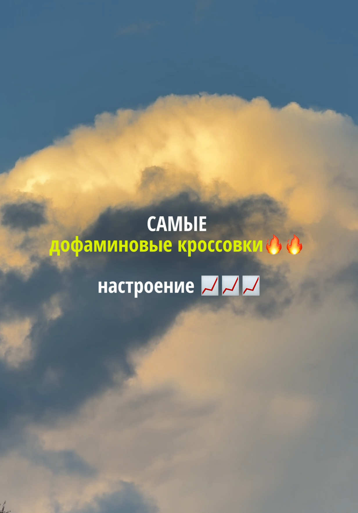 @hellopollli
