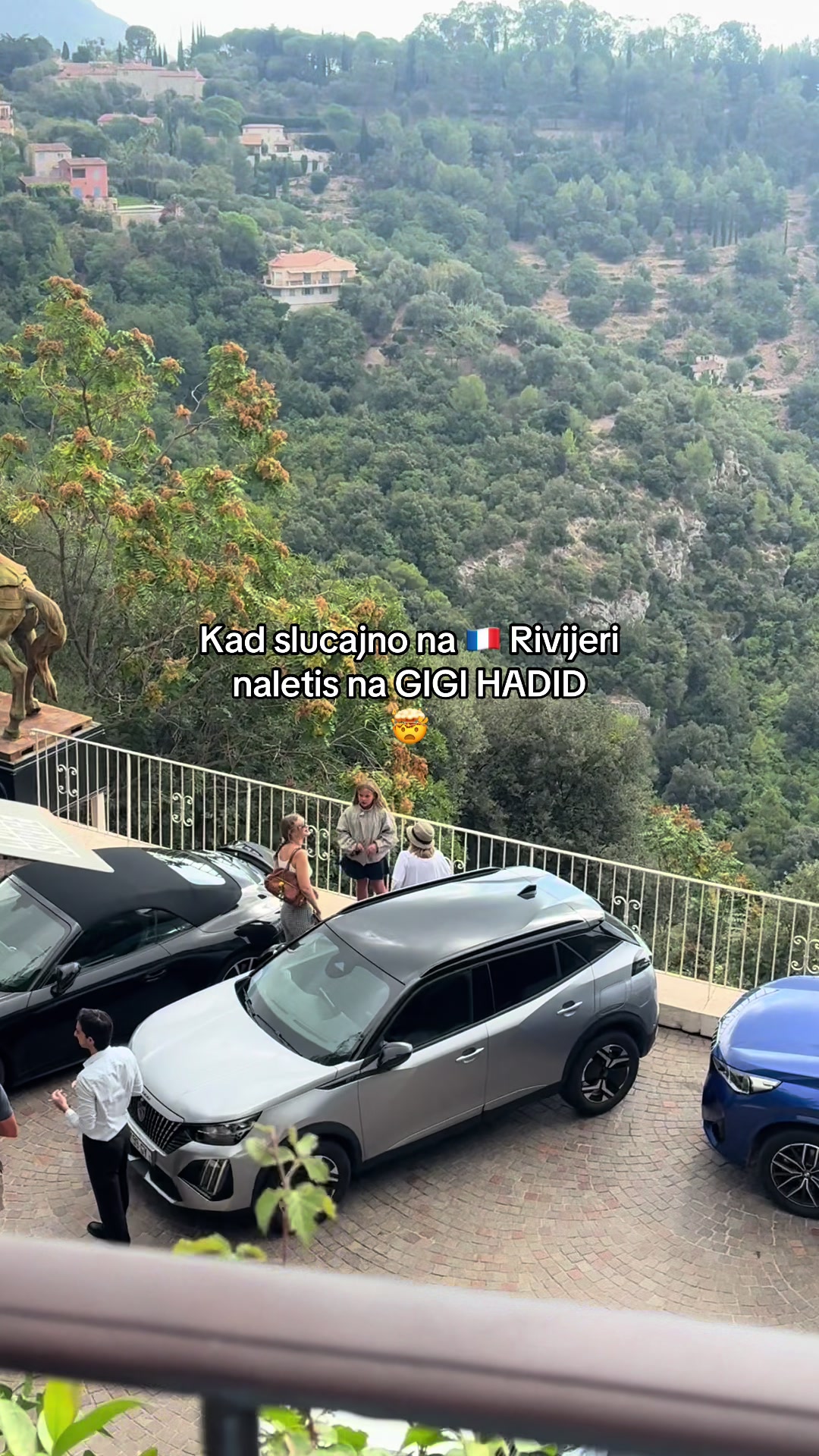 @Vi&scaron;nja