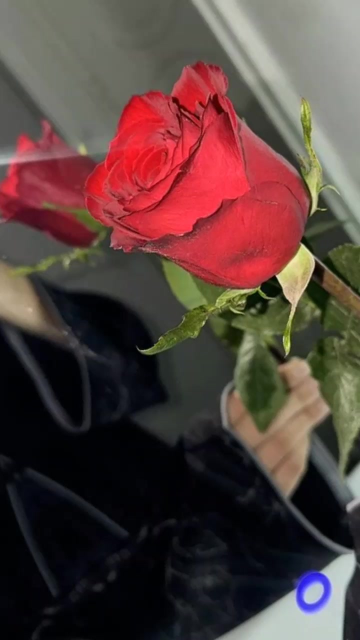 @🌎🧿:انـت؏ـالـمـي