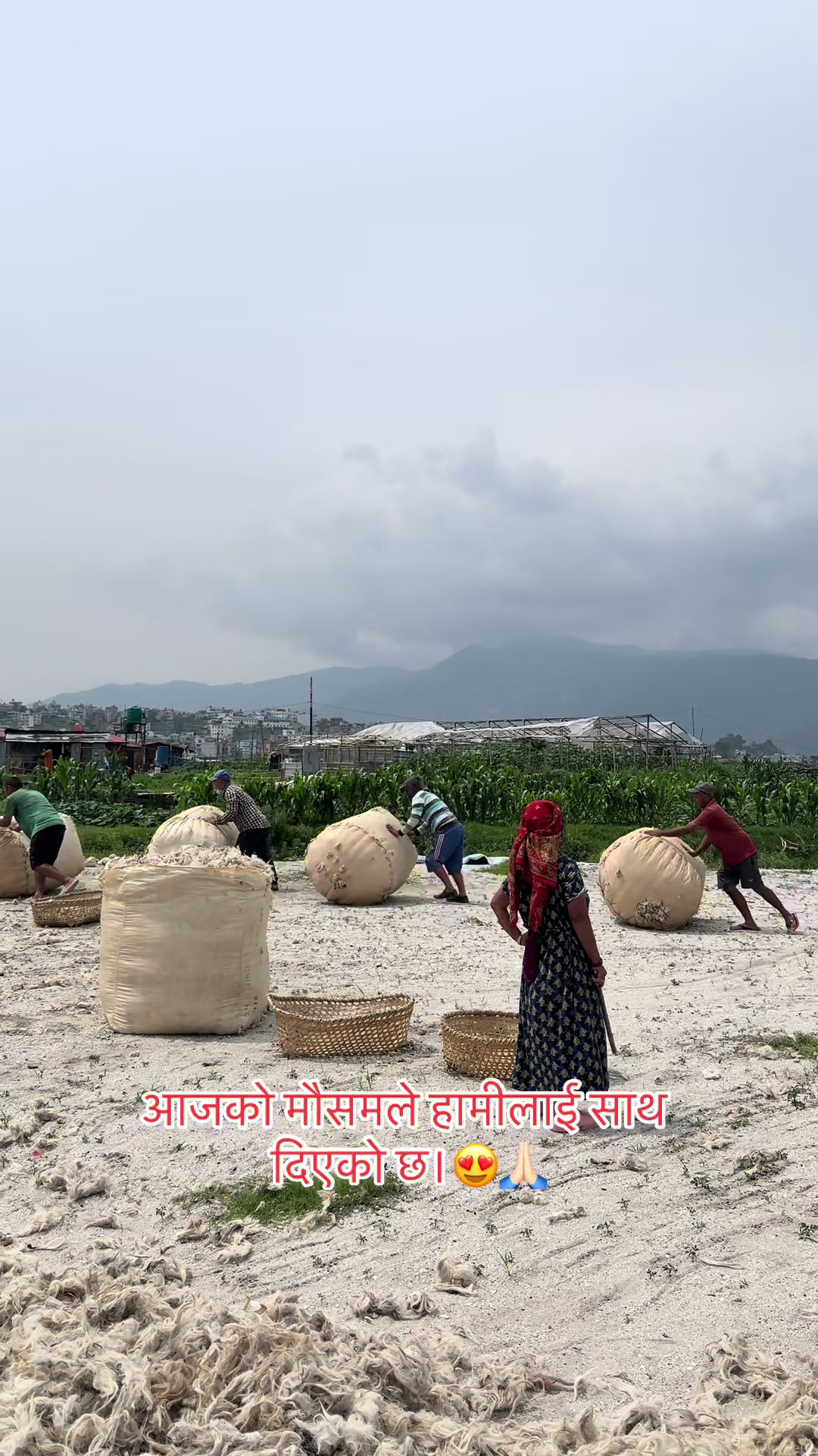 @Radi Pakhi (राडी पाखी )