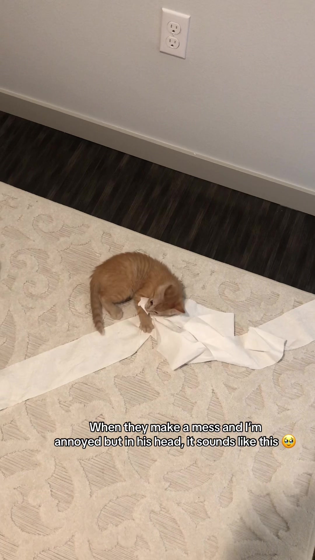 @Ollie