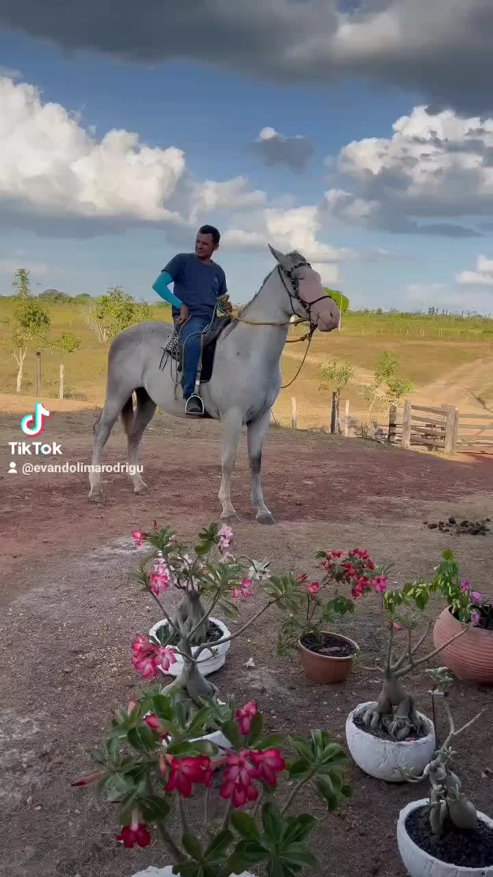 @evandolimarodrigu