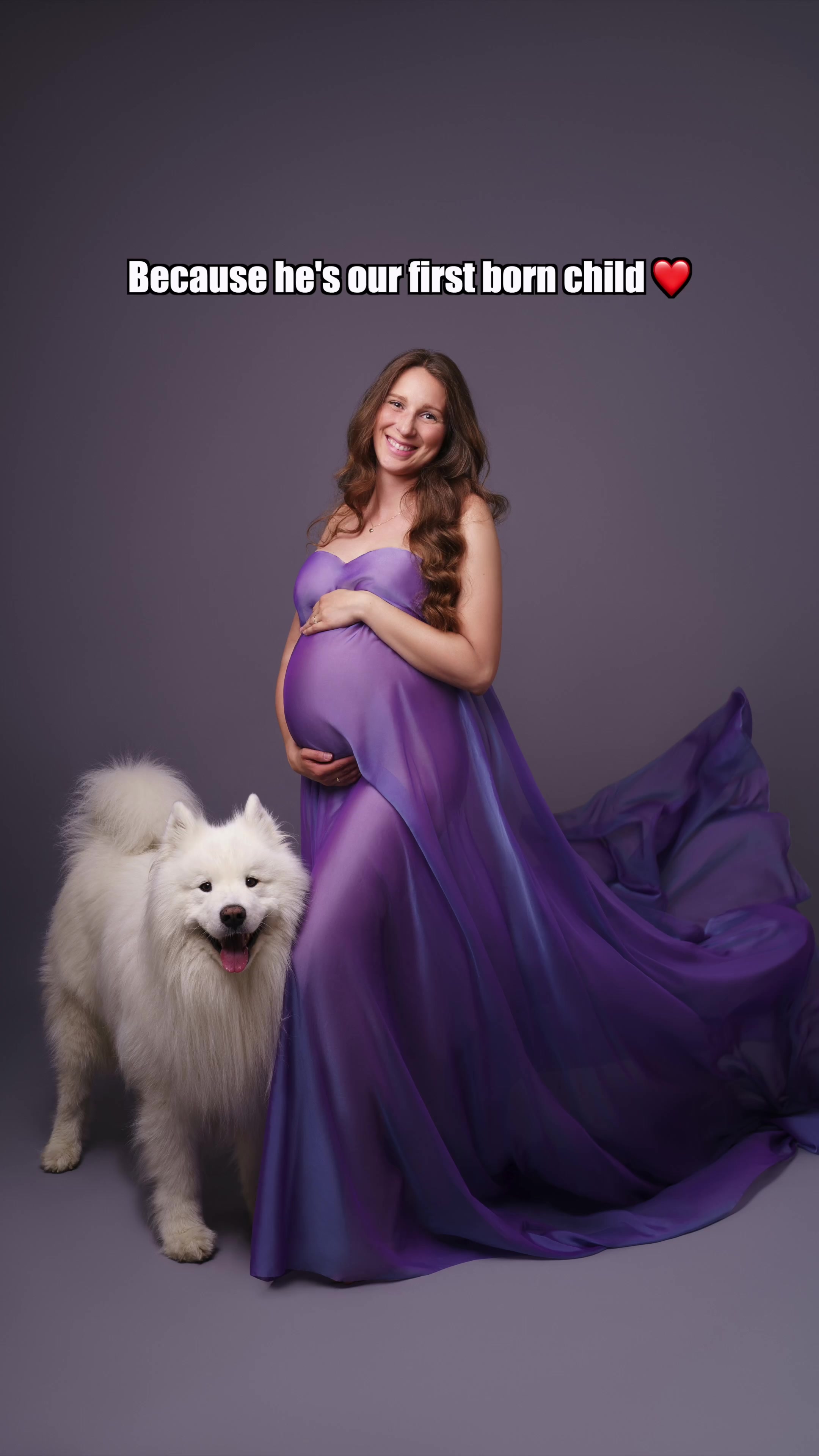 @wanderlust_samoyed