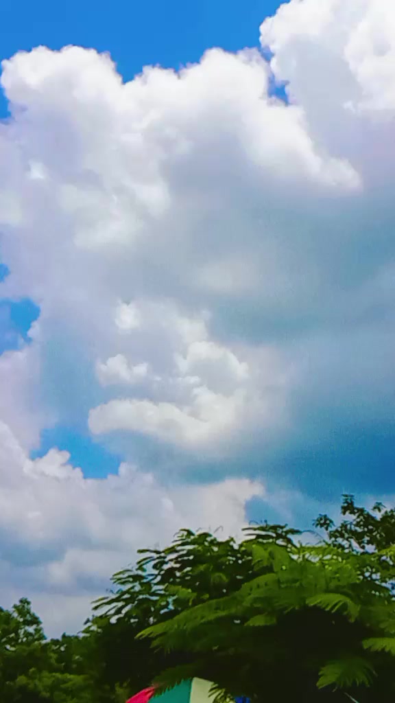 @🇦🇷 ফুটবল লাভার 🇦🇷🥰