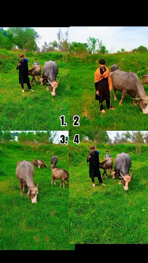 @Umarjan