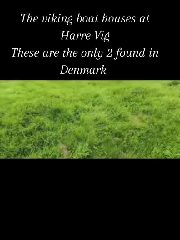 @The bearded norseman 🇩🇰❌️