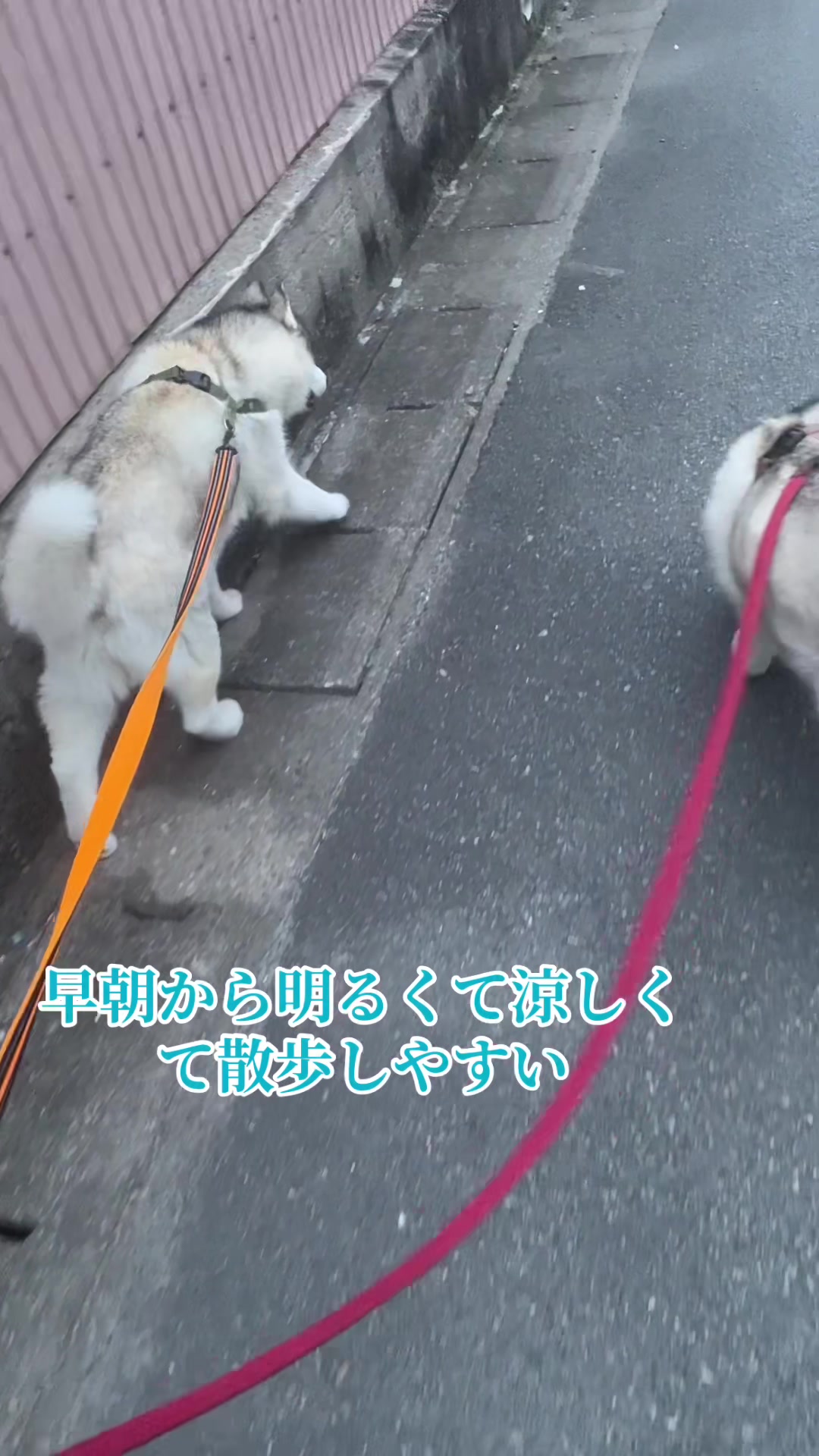 @サン☀️とムーン🌙