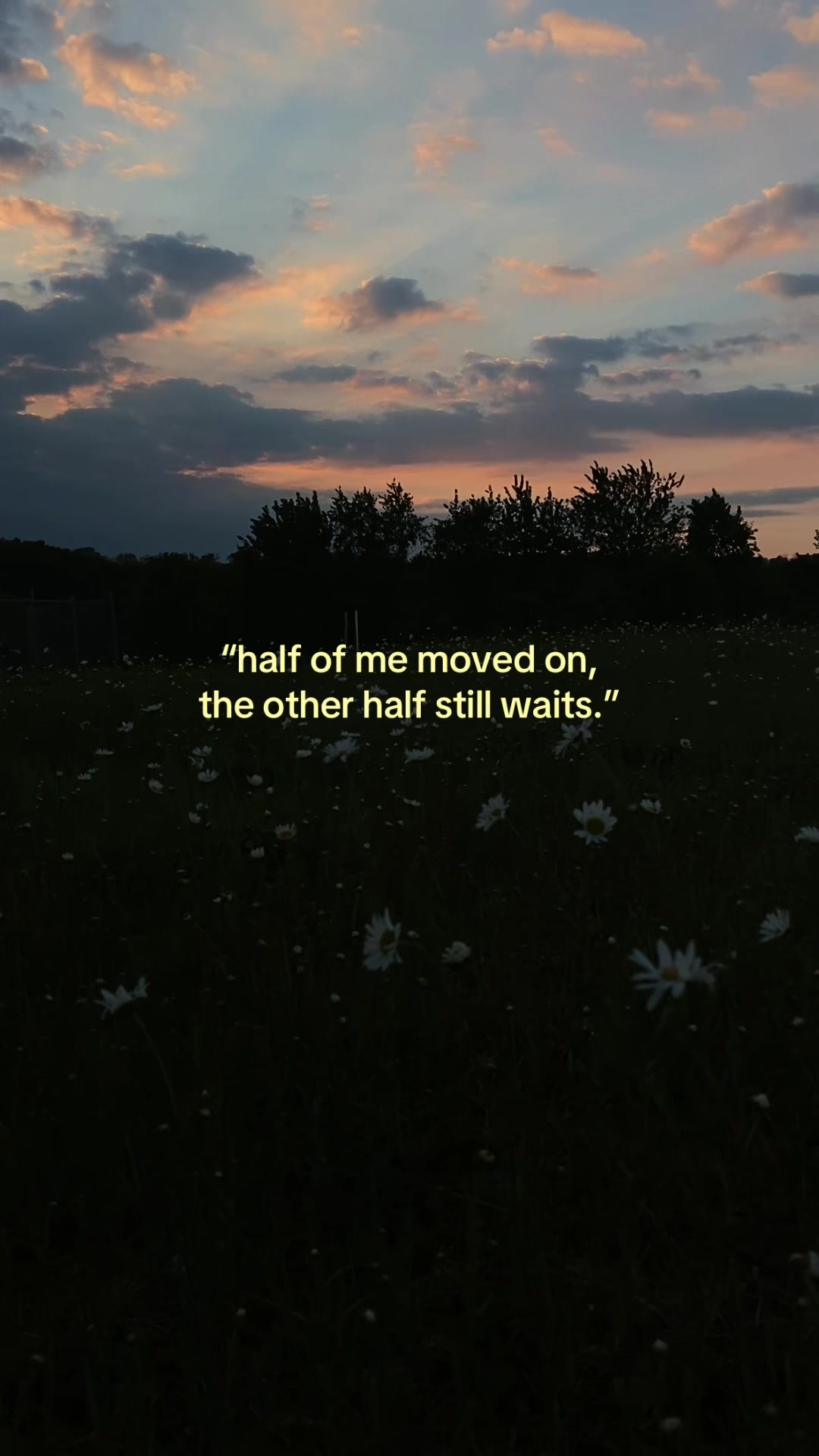 @love27