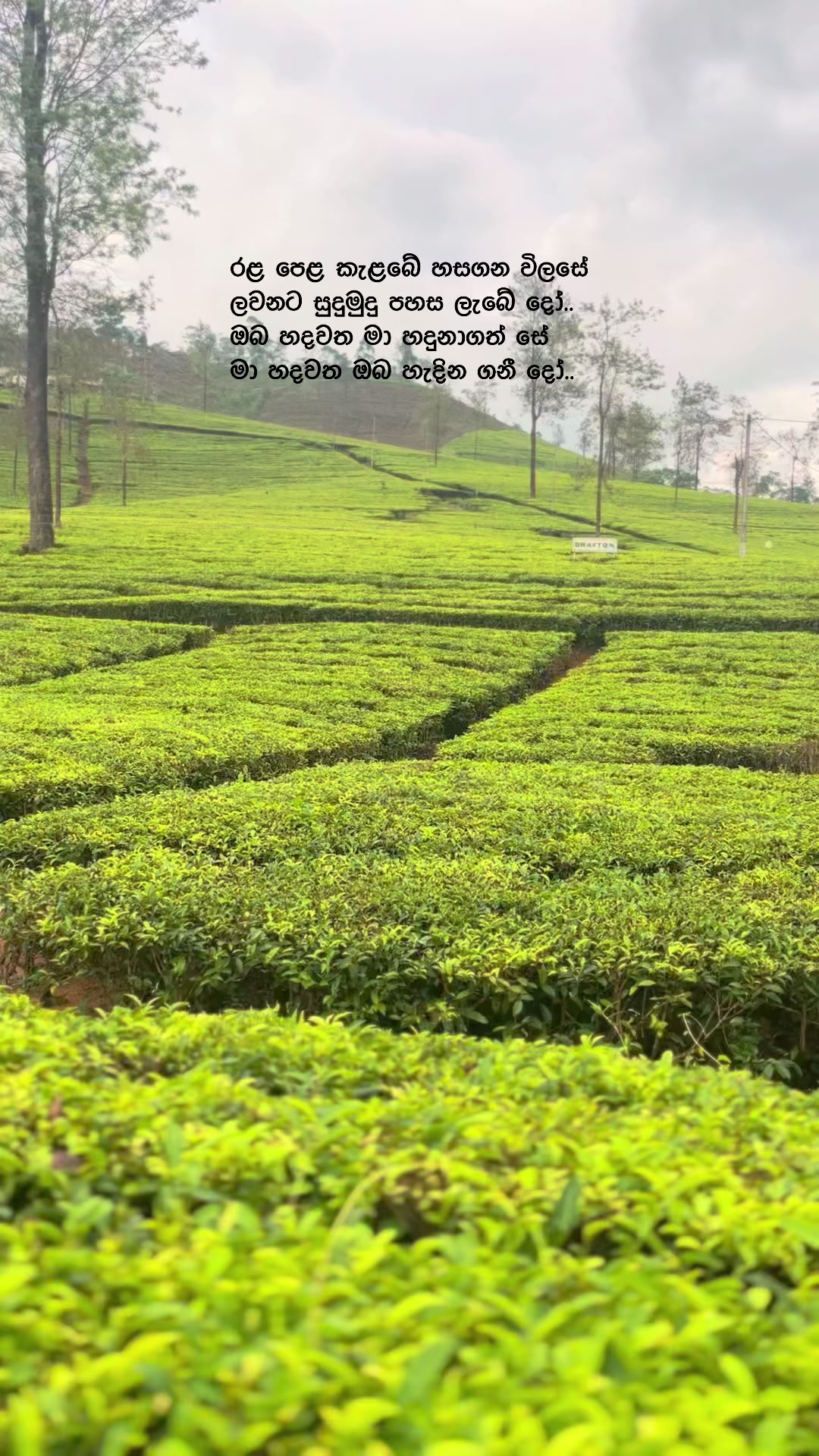 @Nayani Dissanayake