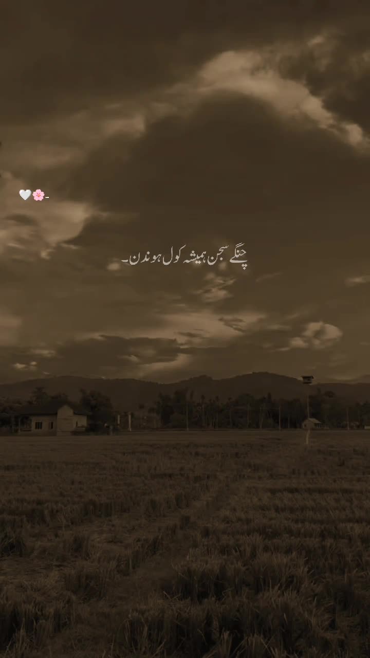 @Aaشhir 🕊️