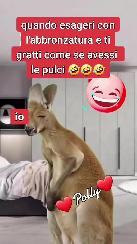 @♥️ POLLY ♥️