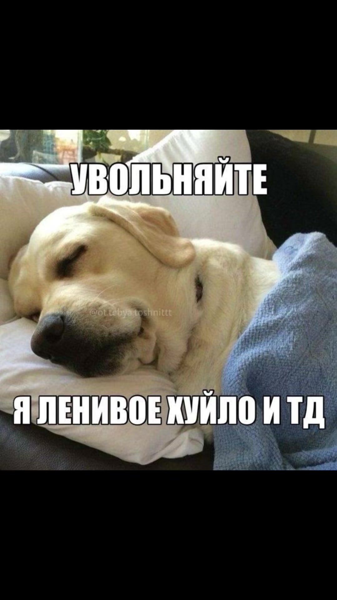 @нюта