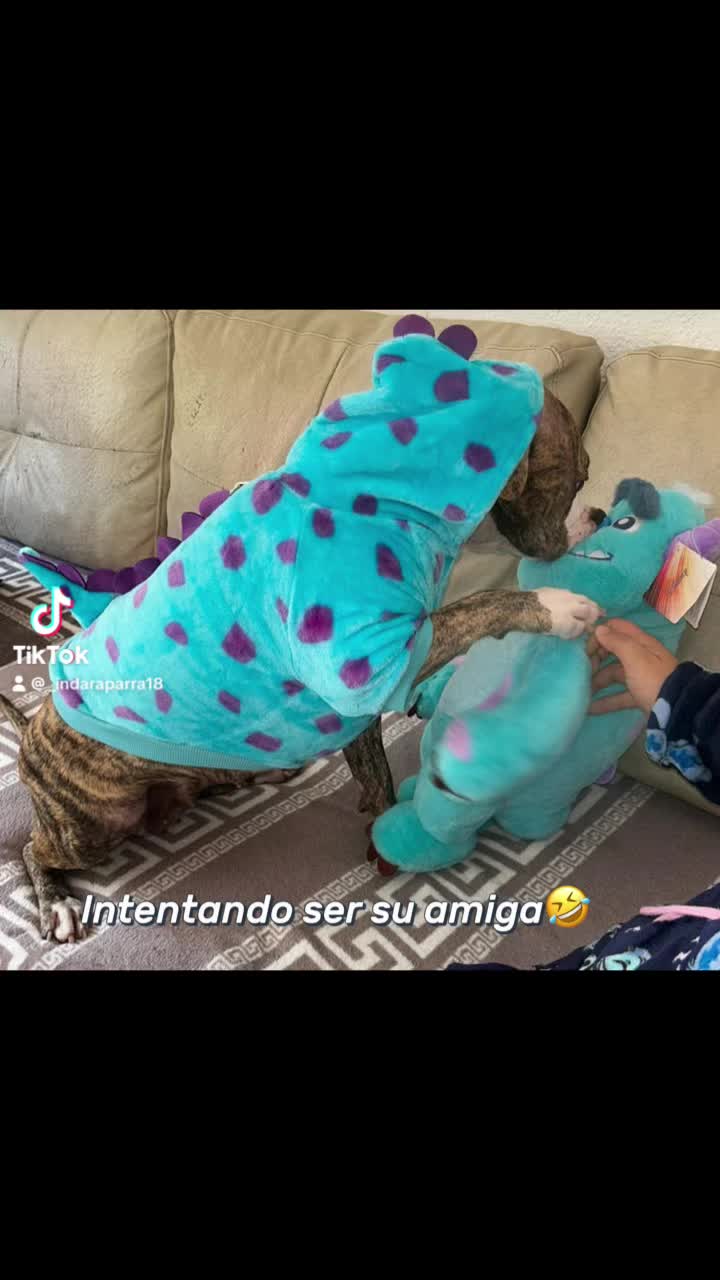 @Indaraparra18
