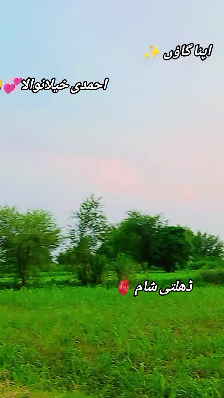 @𖤍 بـلالـــــی گـھنجــیـرا ☠︎