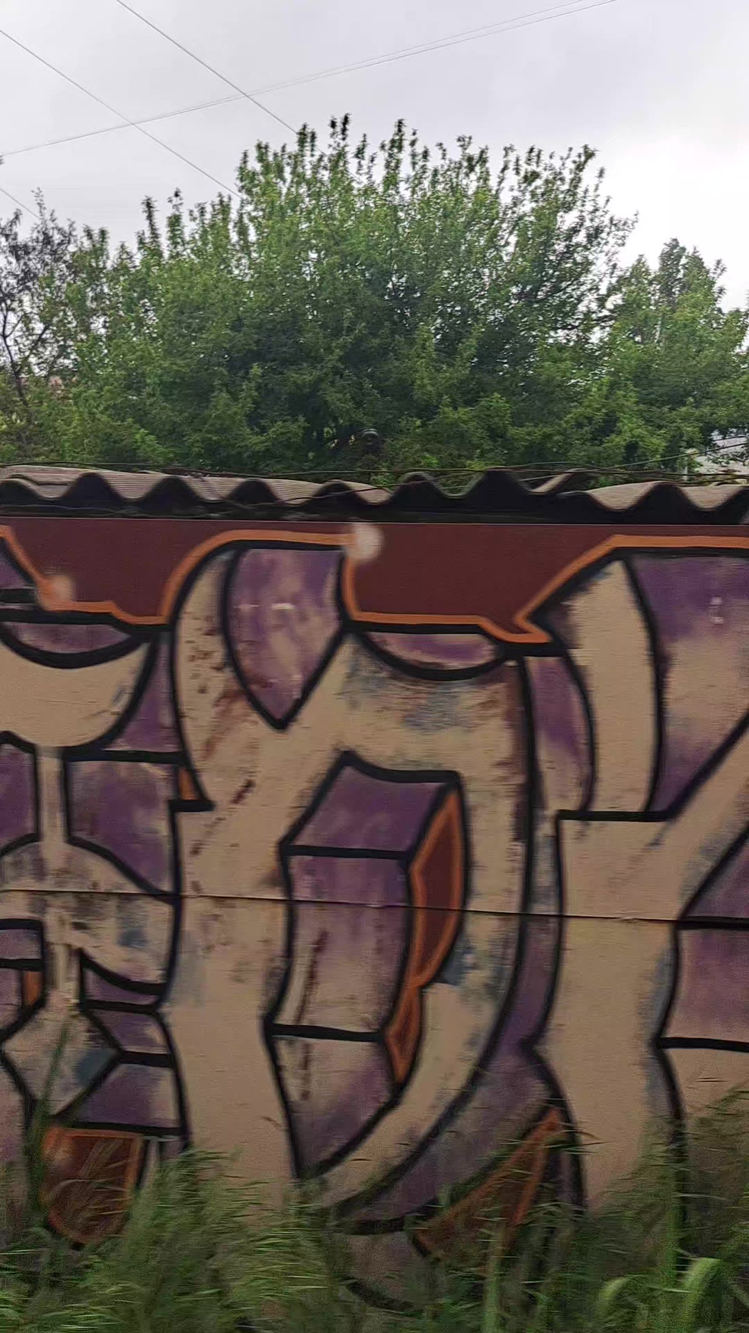 @Bear_od