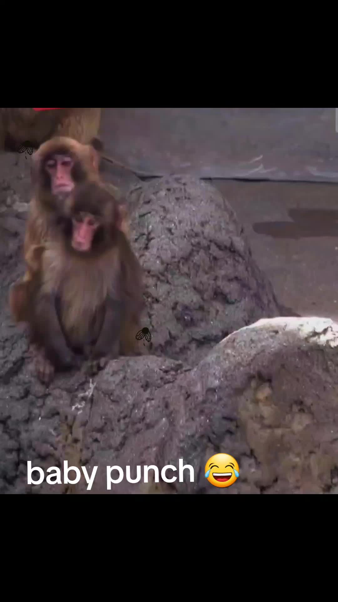 @Punch baby