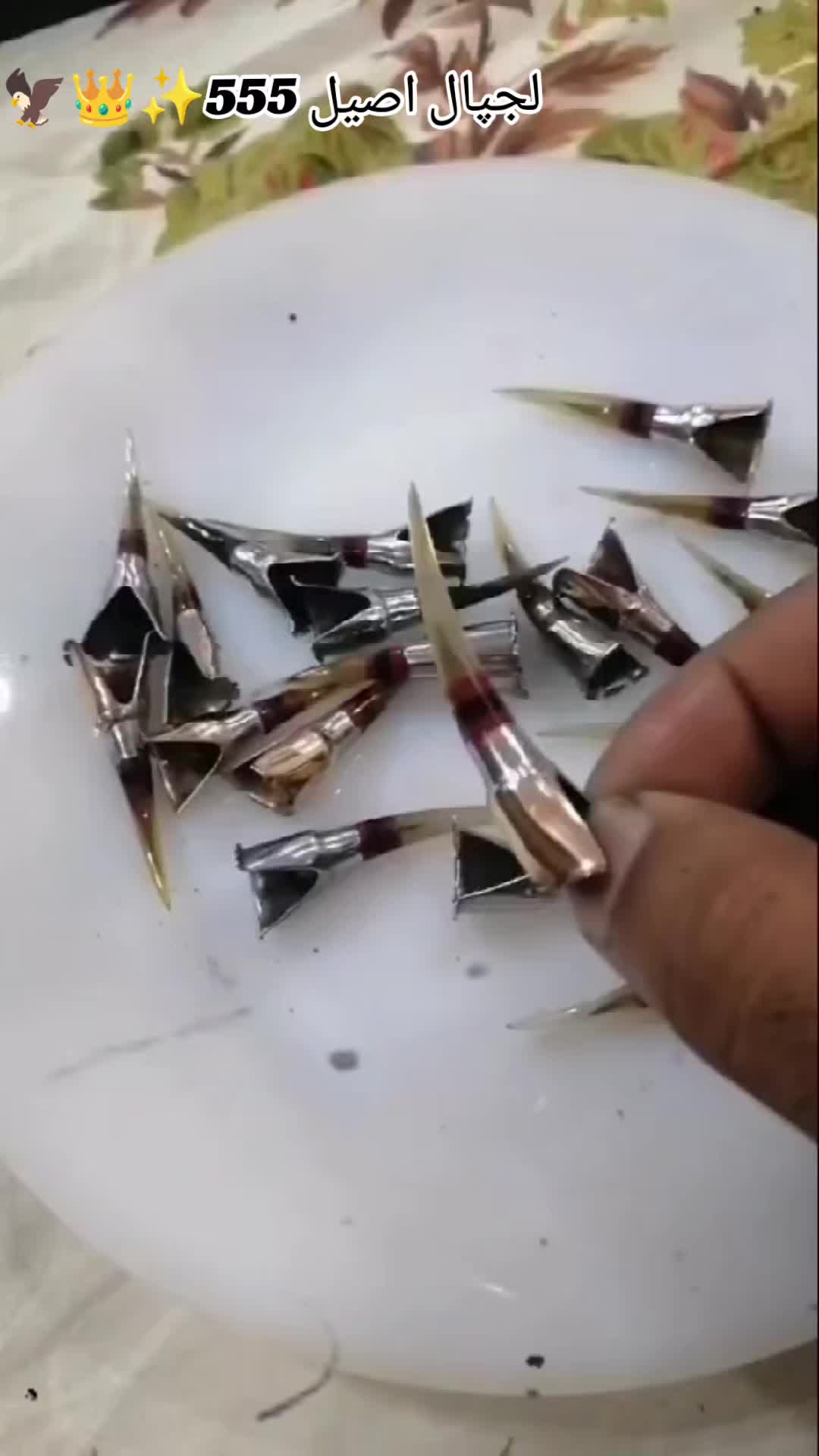 @𝒁𝒂𝒊𝒃 𝑴𝒖غ𝒉𝒂𝒍 555