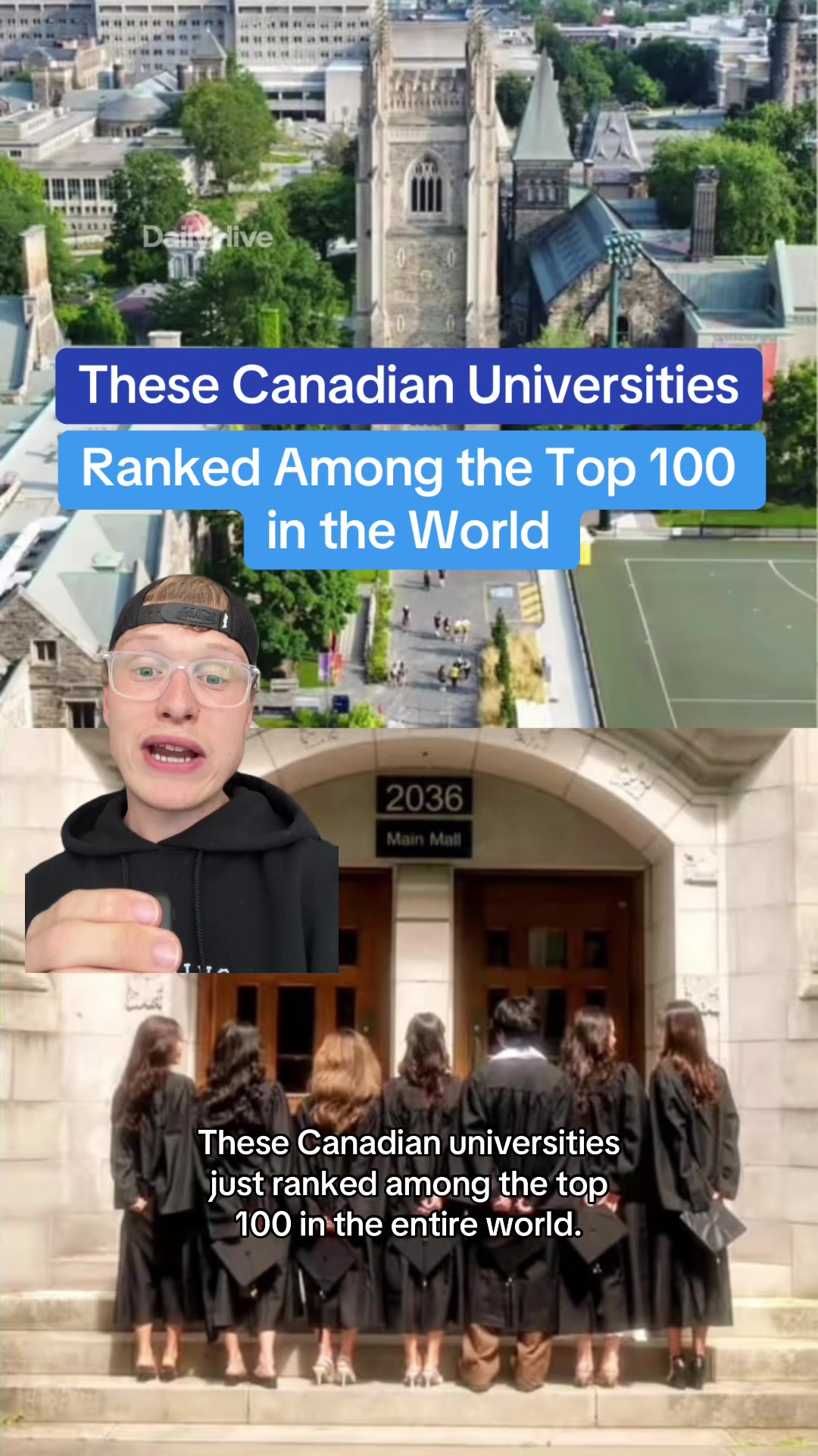 @dailyhivecanada