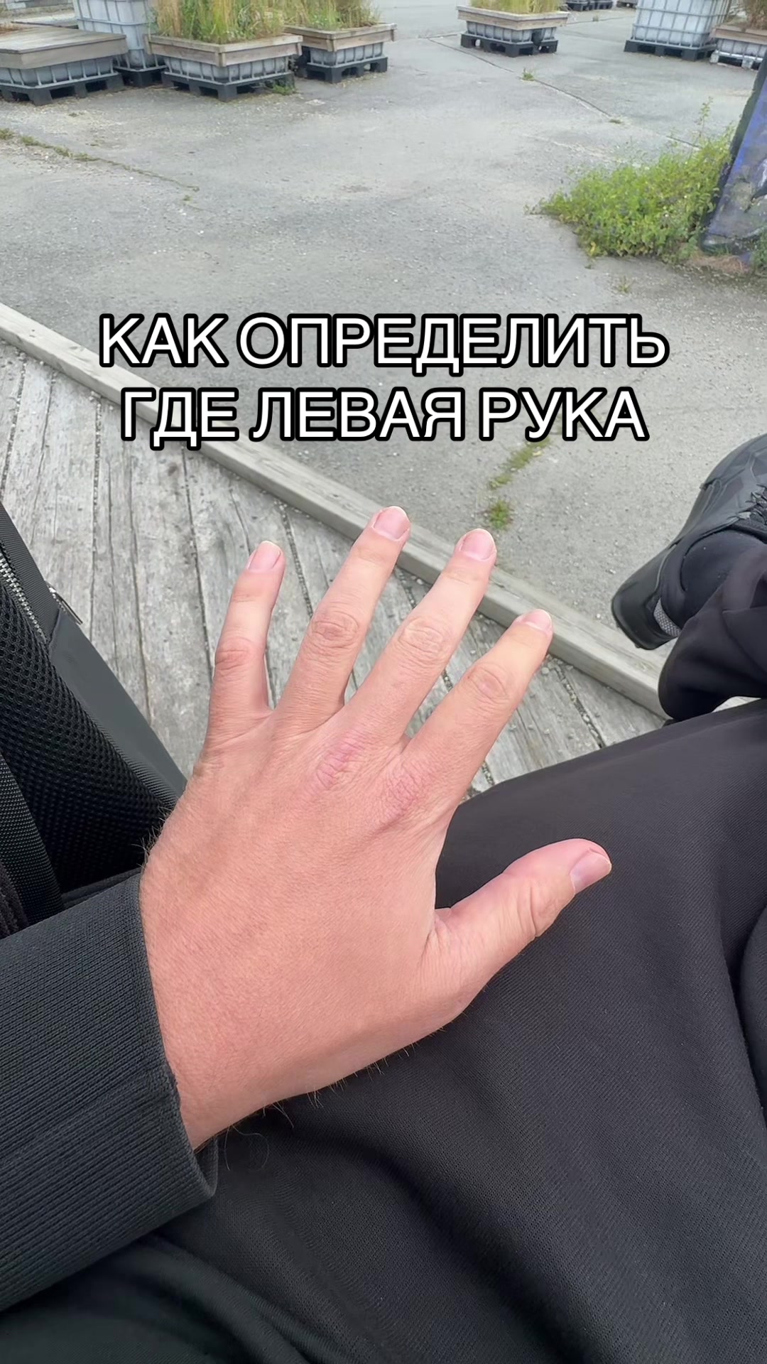 @Doc. Stein