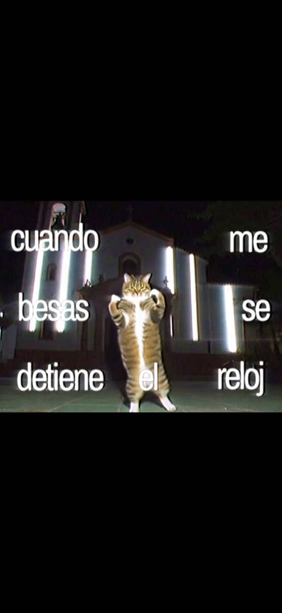 @jason